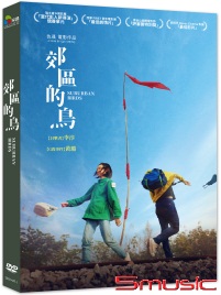 郊區的鳥