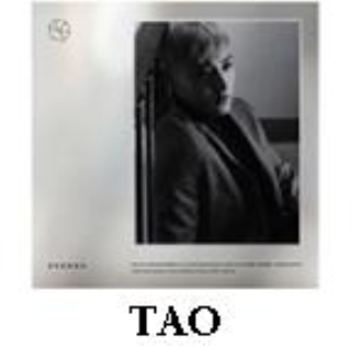 第二張正規專輯「EXODUS」(台壓中文版/TAO)