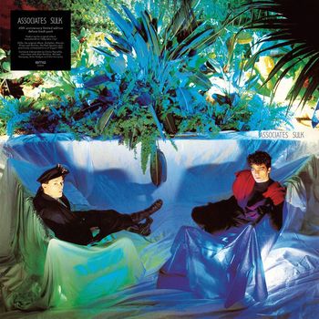 Sulk (40th Anniversary Edition)  1LP+3CD