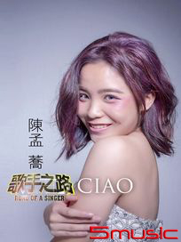 歌手之路