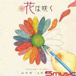 花朵盛開