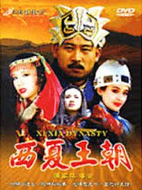 西夏王朝-(全40集)