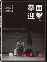 拳面迎擊 (荷蘭電影)