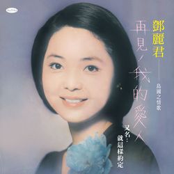 再見我的愛人(黑膠)