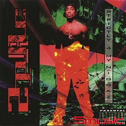 Strictly 4 My N.I.G.G.A.Z… 2LP