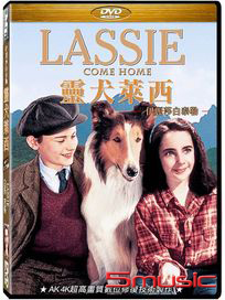 靈犬萊西