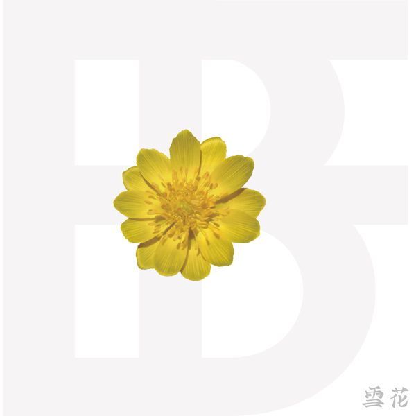 迷你專輯「雪花」(韓國進口版)