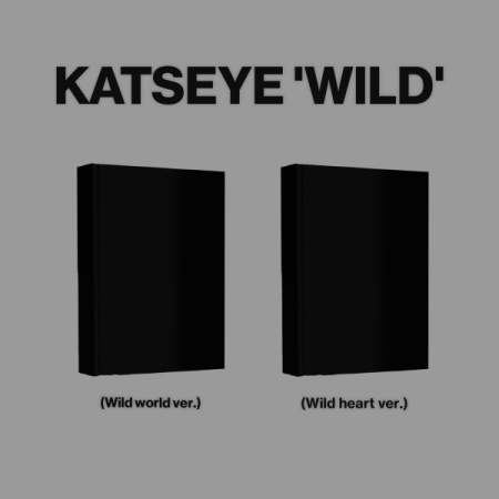 (Wild heart版)WILD(韓國進口版)