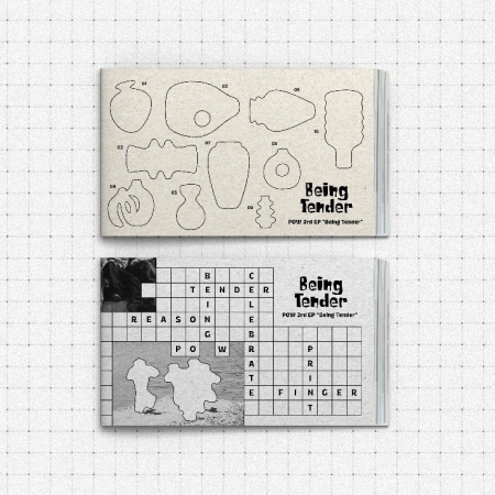 (隨機版)第三張迷你專輯「Being Tender(Photobook Ver.)」(韓國進口版)