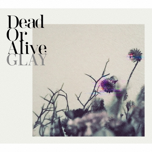 Dead Or Alive (日本進口通常盤CD)