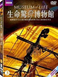 生命驚奇博物館 3