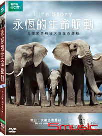 永恆的生命脈動