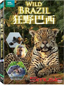 狂野巴西