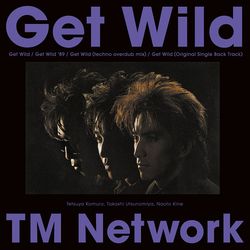 Get Wild (完全生產限定黑膠盤)