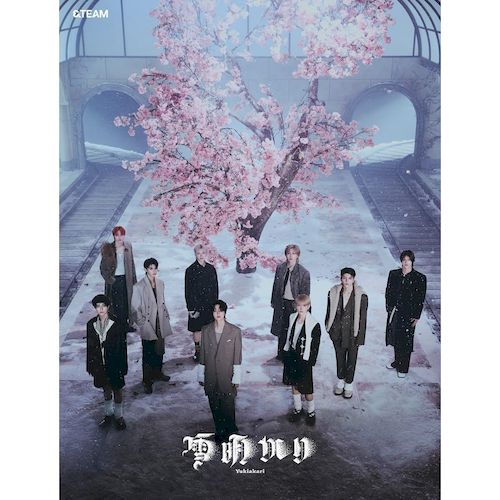 Yukiakari (日本進口初回限定盤)