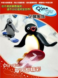 企鵝家族-每天都精彩