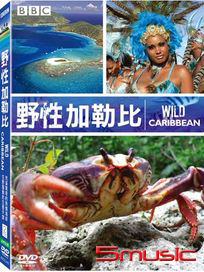 野性加勒比