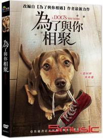 為了與你相聚